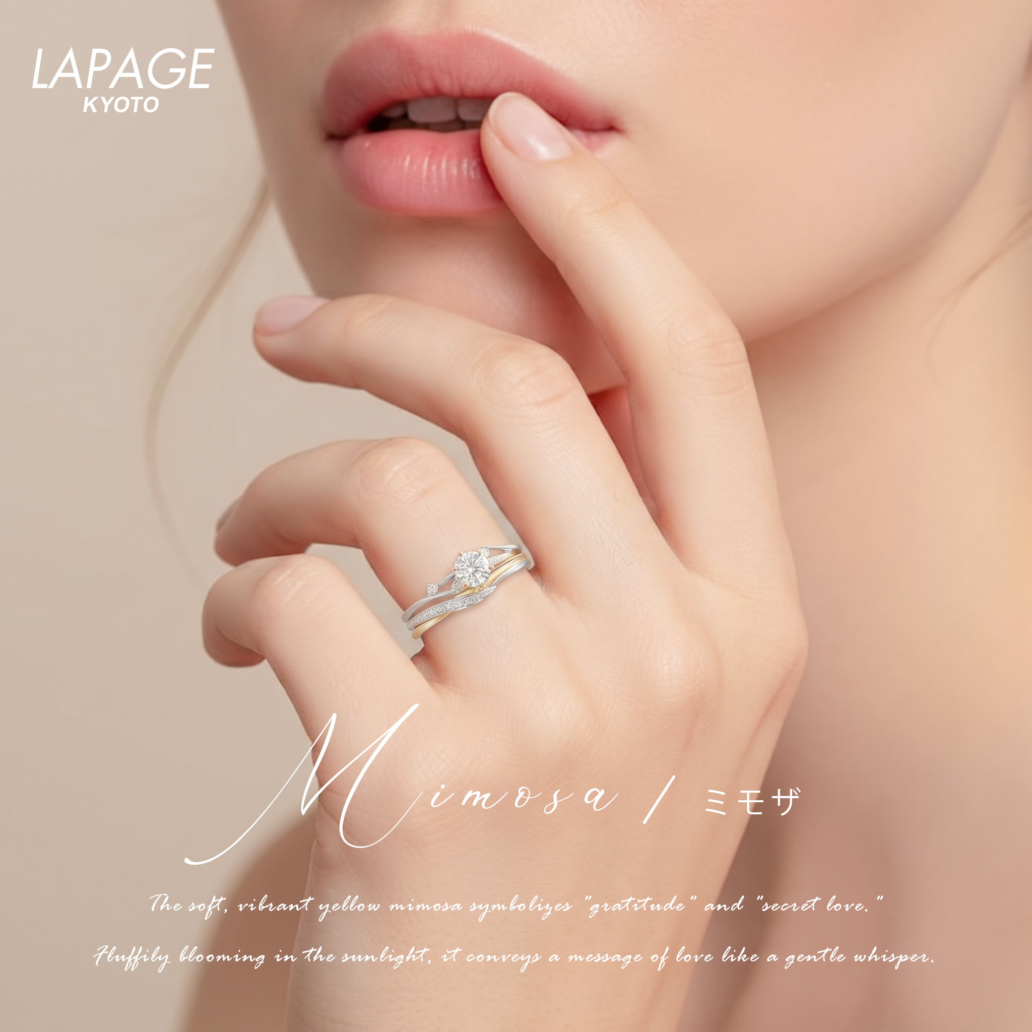 LAPAGE