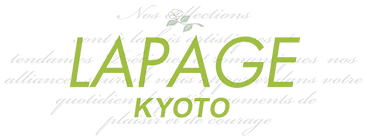 LAPAGE日本鉑金婚戒|法式鑽戒|法式設計|婚戒客製|職人工藝
